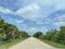 Dirt road in â¨Big Cypress National Preserve, â¨Ochopeeâ©, Florida, â¨United States